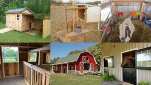 19+ Genius Goat Barn Ideas That Transform Tiny Spaces