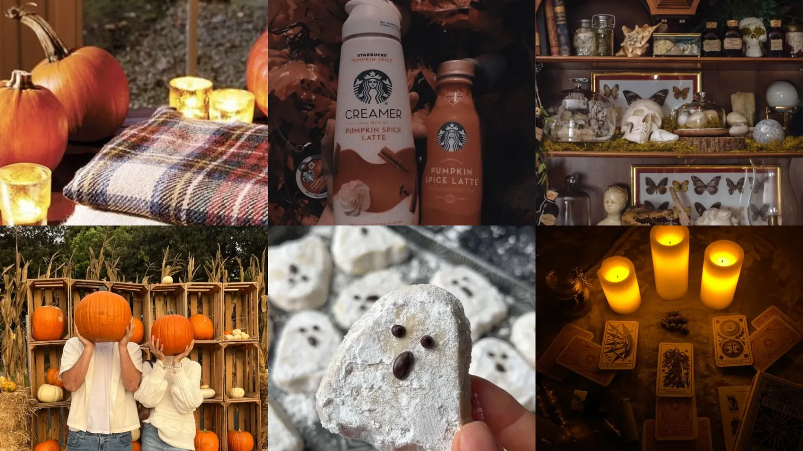 18+ Spooky Season Ideas Cozy Enough to Hibernate In
