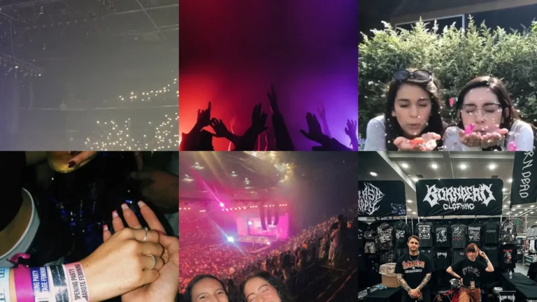 20+ Concert Story Ideas Instagram Posts That Go Viral