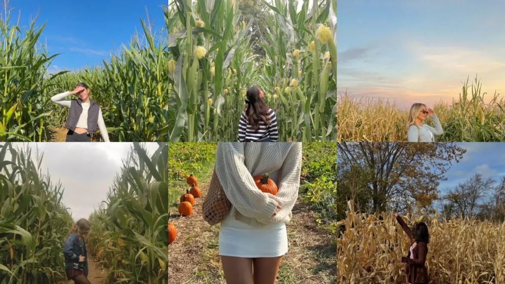 12+ Fall Corn Maze Outfits You’ll Love to Wear This Year