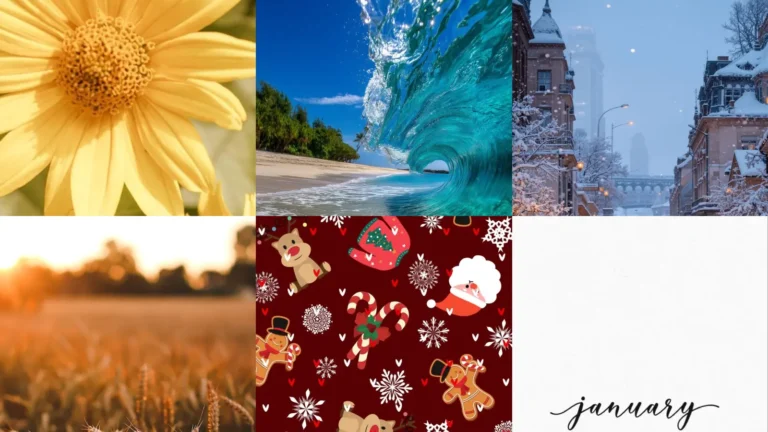 16+ Stunning Seasonal Wallpaper Ideas Phone Hacks