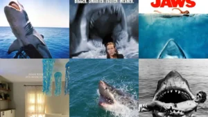 15+ Best Shark Movies That’ll Make You Terrified to Swim
